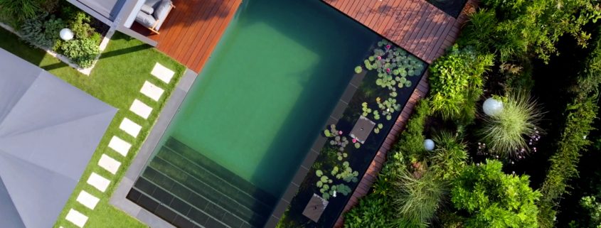 Schwimmteich von oben betrachtet